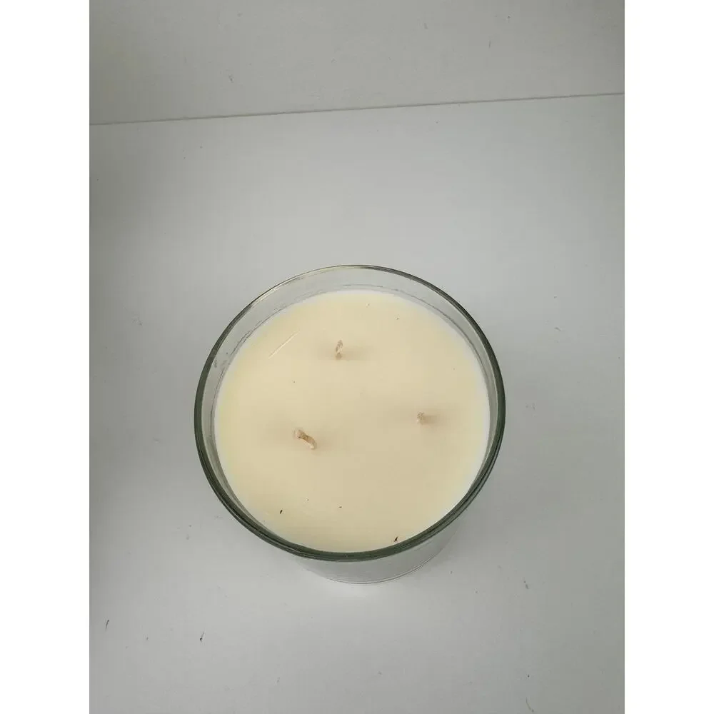 Michael Aram Ginkgo Candle Original Box Grapefruit Black Pepper Silver Tone NEW